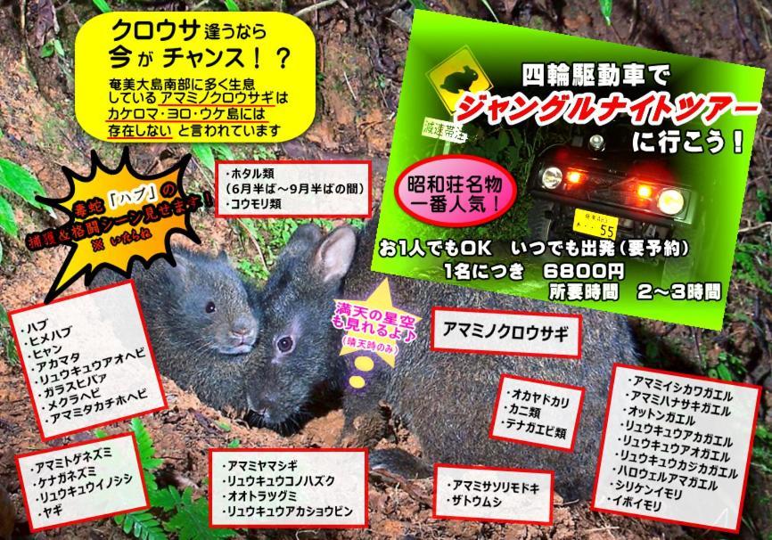 Amami Guest House Showa-So Setouchi  Bagian luar foto