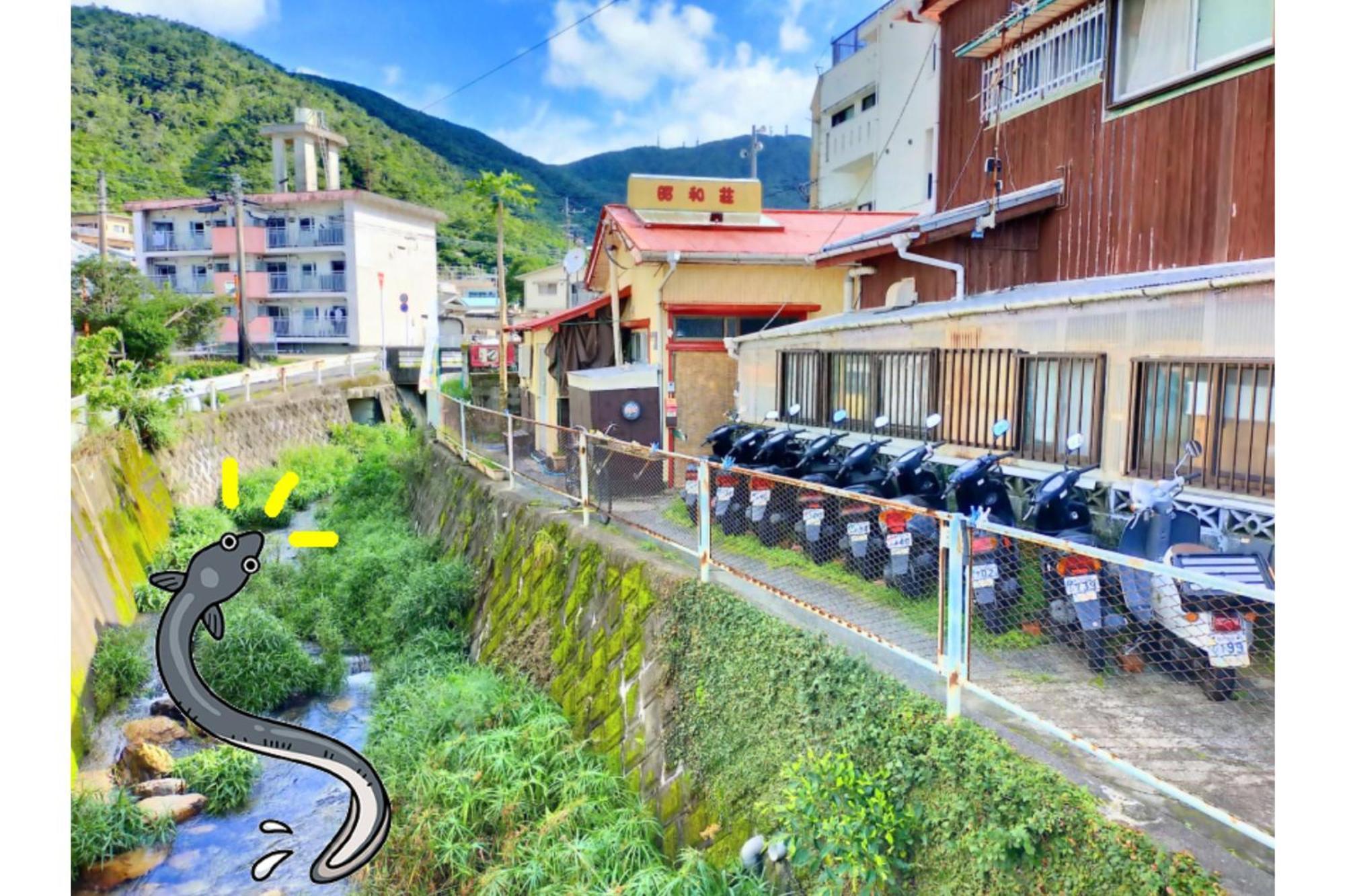 Amami Guest House Showa-So Setouchi  Bagian luar foto